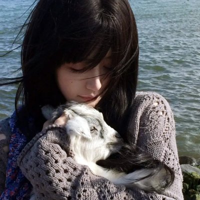 完美的陌生人海报